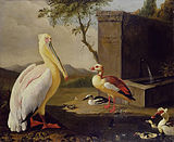 Пеликан и утки на фоне горного пейзажа