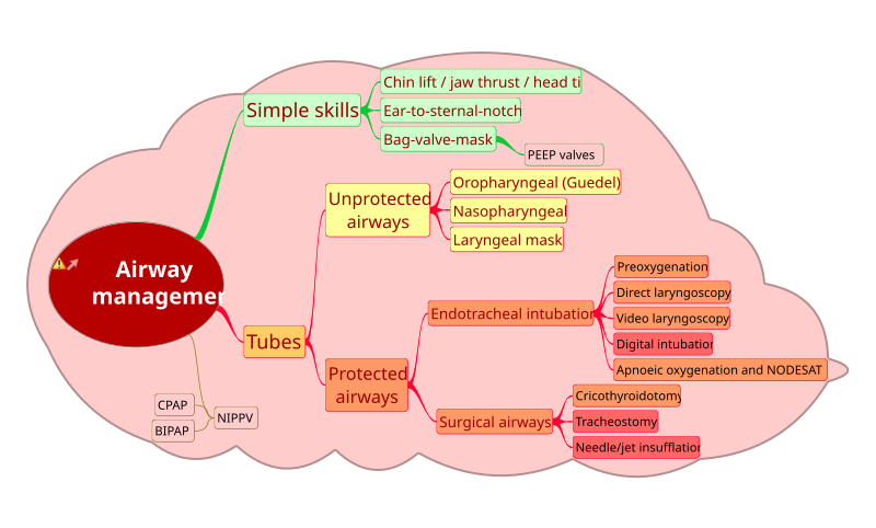 Airway management