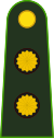 Аргентина-Армия-OF-4.svg