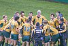 The Wallabies