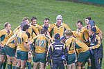 L'équipe d'Australie de rugby à XV (automne 2006).