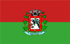 Flag of Araruna, Paraná
