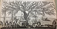 Indian men performing yoga asana under a Banyan tree (1688)