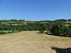 Le vallon de la Boralde Flaujaguèse vu depuis le village de Flaujac.