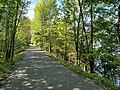 Brome Lake walking path