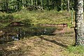 Camp celtique de la Bure, Saint Dié-des-Vosges : bassin de Taranis.