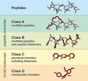 Four peptidomimetics classified (A – D), based on their similarity with the precursor peptide.