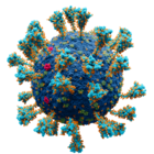 ไวรัสโคโรนาสายพันธุ์ใหม่ (SARS-CoV-2)