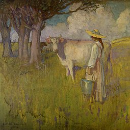 הפרה הלבנה, 1905