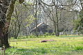 Outbuilding at Dortch Plantation