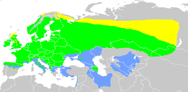 Előfordulási területe (a zöldben állandó, a sárgában csak költ és a kékben csak áttelel)
