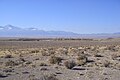 The community of EskDale, Utah, view to the west