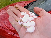 Hailstones ranging in size from few millimetres to over a centimetre in diameter Hailstones.jpg