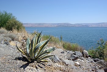 Capernaum, Sea of Galilee