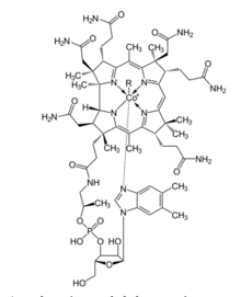 Strukturní vzorec vitaminu B12 (kobalaminu)