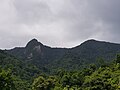 Vue du Piton et du piton Guyonneau depuis la trace des Contrebandiers.