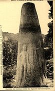 Le menhir de Kernuz (trouvé à Kervadol en Plobannalec par Paul du Chatellier).
