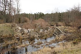 Развалины на речке Лошупе.
