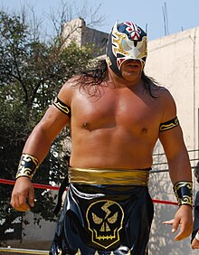 Picture of masked wrestler Último Guerrero during an outdoor wrestling show.