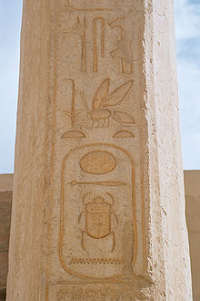 Prenomen of the Cartouche of Thutmose II preceded by Sedge and Bee symbols, Temple of Hatshepsut, Luxor