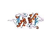 1oia: U1A RNP DOMAIN 1-95