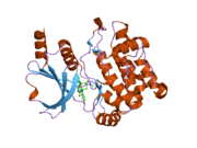 2hy8: PAK1 complex with ST2001