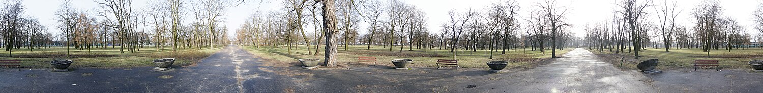 Park Tysiąclecia w Poznaniu - widok ze środka parku