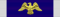 Presidential Medal of Freedom with Distinction (ribbon).PNG