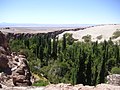 Durch die Quebrada de Jerez fließt das Wasser, das Toconao zur Oase macht.[3]