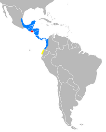Карта ареала Tapirus bairdii с границами.png
