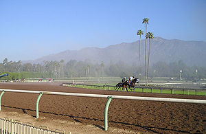 サンタアニタパーク競馬場