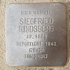 Stolperstein für Siegfried Rindsberg