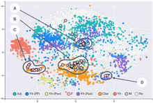 T-SNE visualisation of word embeddings generated using 19th century literature T-SNE visualisation of word embeddings generated using 19th century literature.png