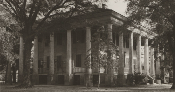 The Columns photographed by Carlisle Roberts for the W.P.A.