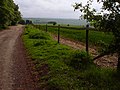 Lambourn - The Valley of the Racehorse