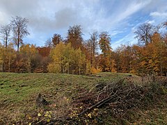 Tumuli[1] de la forêt de Soignes