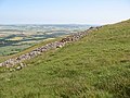 View north-northeast from Yeavering Bell