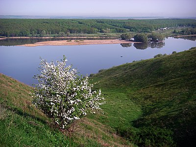 112. Река Свияга, Татарстан — Ilegri