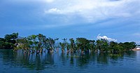 Tanguar Haor