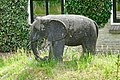 Olifant in Nij Amerika - Nijemirdum