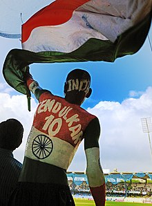 Sudhir Kumar Chaudhary, a fan of the Indian cricket team, travels to all Indian home games with his body painted as the Indian flag. A Cricket fan at the Chepauk stadium, Chennai.jpg