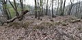 Plateau der Westburg von der südöstlichen Ecke aus gesehen