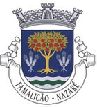 Wappen von Famalicão