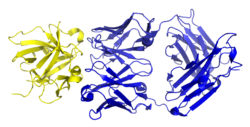 Canakinumab