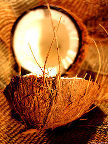 Coconut art 06.jpg