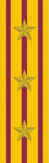 100px-Colonel_rank_insignia_%28Manchukuo%29.png