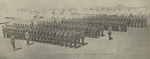 D Company at Camp Hughes, 1916 D Company 196 Battalion.png