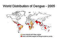 Dengue distr.jpg