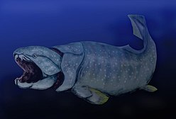 Dunkleosteus BW.jpg