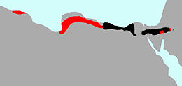 Elterjedési területe (a vörös a jelenlegi, míg a fekete a történelmi élőhelye)